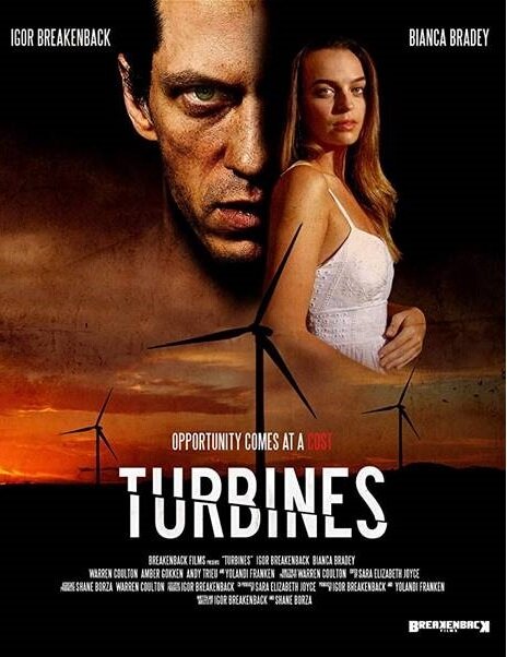  Турбины (2019) 