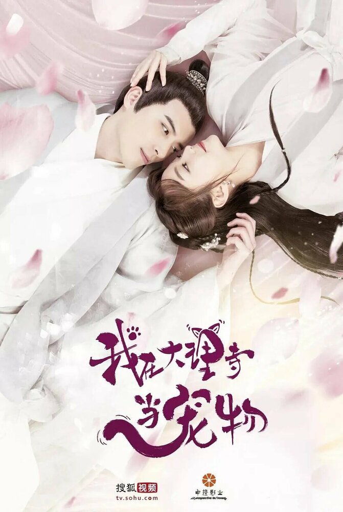  Кошка из палаты по уголовным делам (2018) 