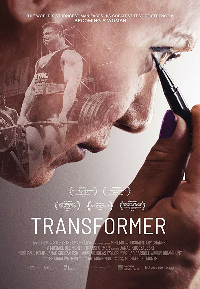  Трансформация (2017) 