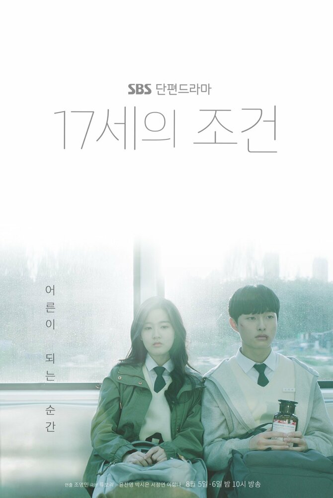  Условия 17-летних (2019) 