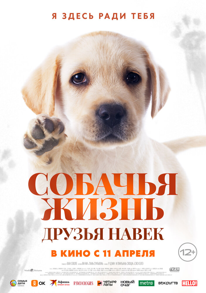  Собачья жизнь: Друзья навек (2023) 